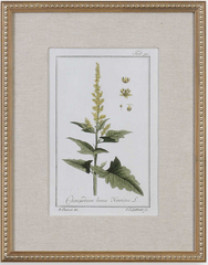 Green Floral Botanical Prints
