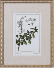 Green Floral Botanical Prints