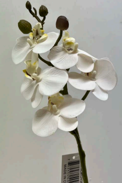 21" White Orchid Succelent