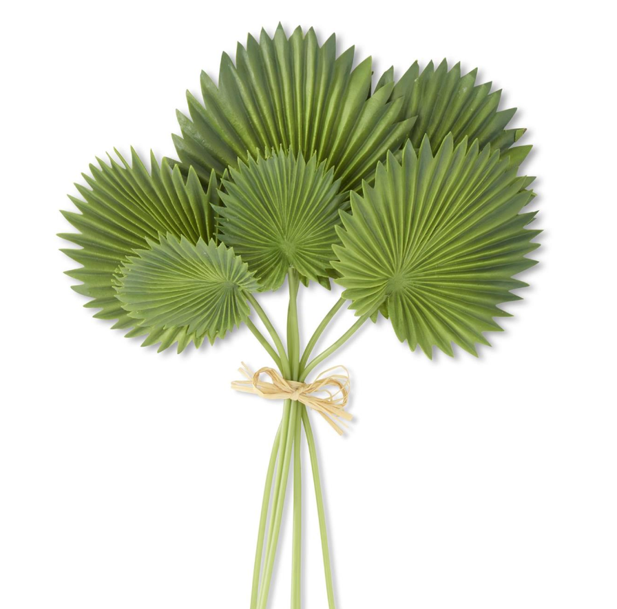 Palm Leaf Bundle (6 Stems)