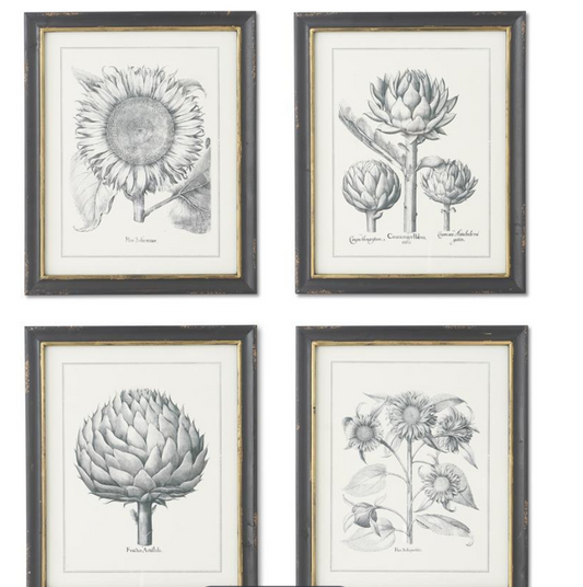 Assorted Sunflower & Artichoke Prints
