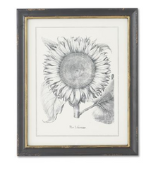 Assorted Sunflower & Artichoke Prints