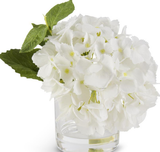 8in White Hydrangea in Glass Vase