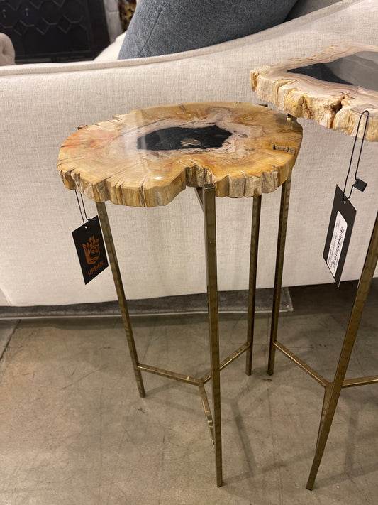 Petrified Wood Stone Side Table